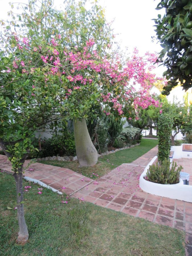 Apartamento Bien Situado En Marbella Bagian luar foto