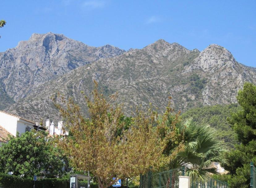 Apartamento Bien Situado En Marbella Bagian luar foto